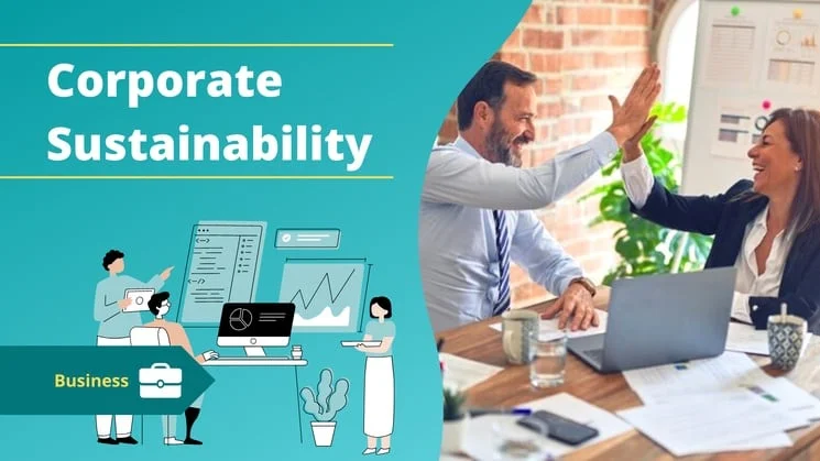 Introduction to Sustainable Development & Sustainability 11 Corporate Sustainability