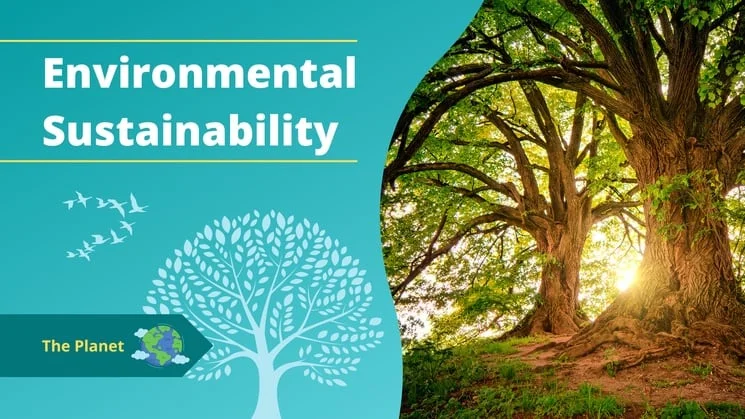 Introduction to Sustainable Development & Sustainability 7 Environmental Sustainability