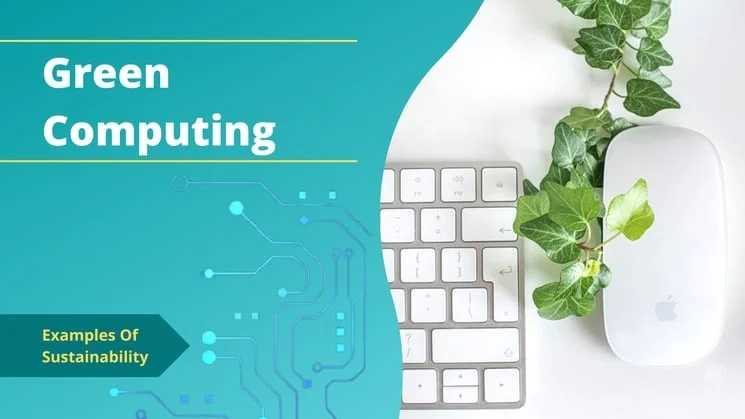 Introduction to Sustainable Development & Sustainability 13 Examples of sustainable development - Green computing