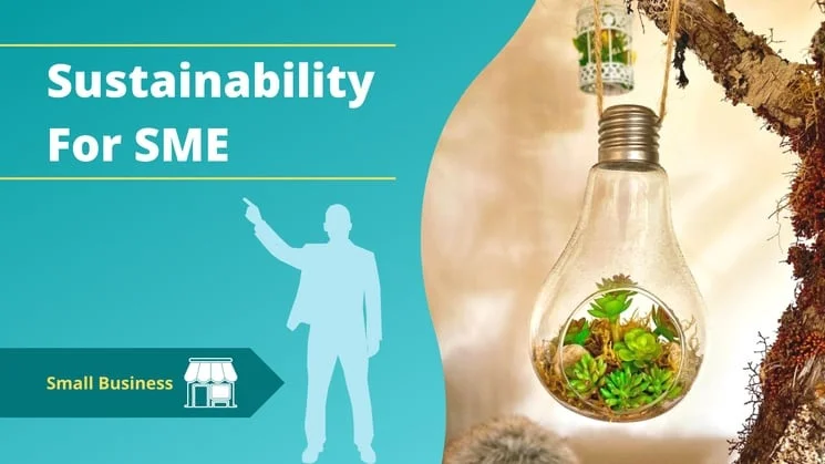 Introduction to Sustainable Development & Sustainability 12 Sustainability for small business SME