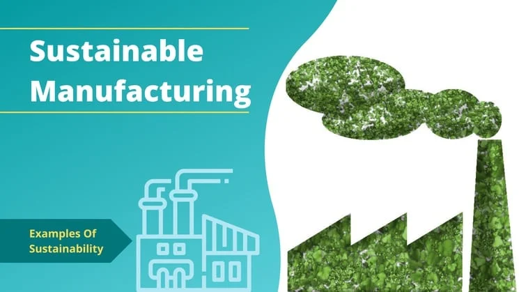Introduction to Sustainable Development & Sustainability 14 Examples of sustainable development - Sustainable mobility