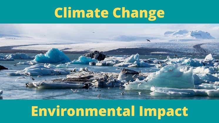 Climate change and environmental impact