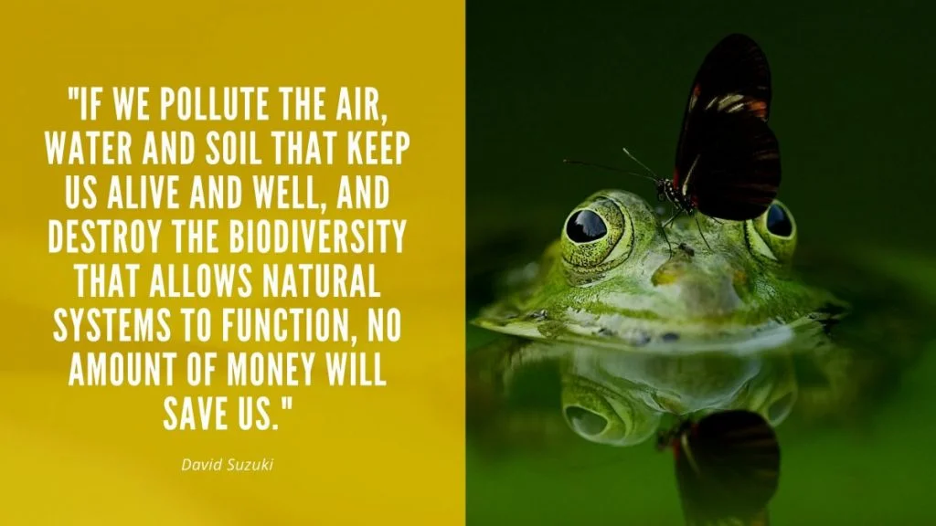 Eco Friendly Quotes Sustainability Slide 11