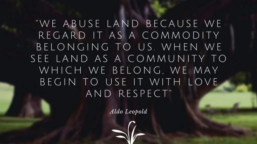 Eco Friendly Quotes Sustainability Slide 12