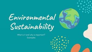 Environmental Sustainability