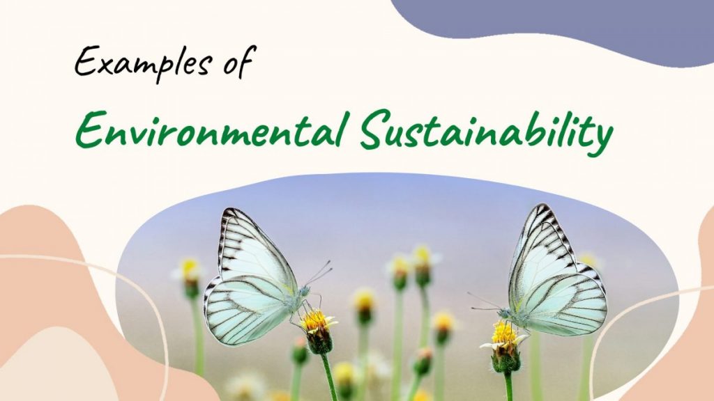 Examples of Environmental Sustainability
