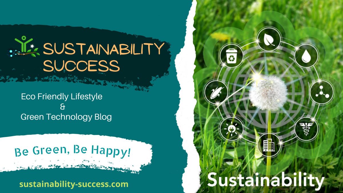 Sustainability success blog
