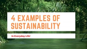 4 Examples of sustainability in everyday life