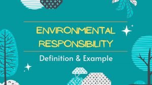 Environmental Responsibility definition example
