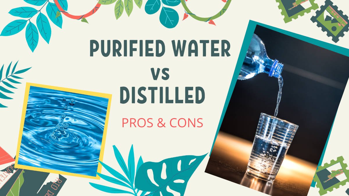 Purified Water vs Distilled - Pros and Cons Comparison