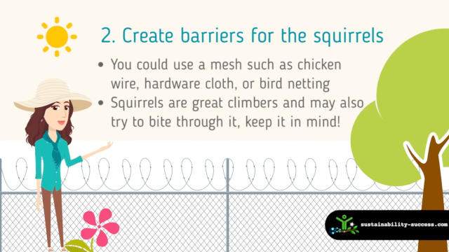 create barriers for the squirrels