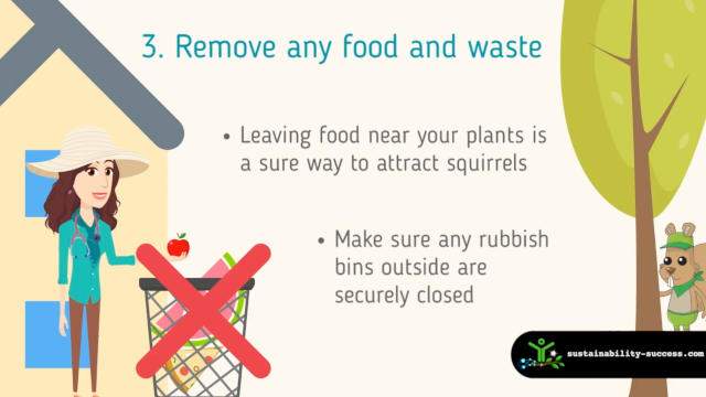 keep away squirrels from tomato - remove any food and waste