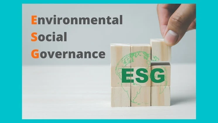 The 4 Pillars Of Sustainability EXPLAINED 9 ESG