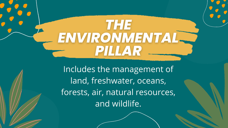 Environmental pillar