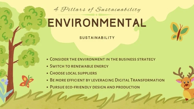 The 4 Pillars Of Sustainability EXPLAINED 8 Environmental sustainability pillar