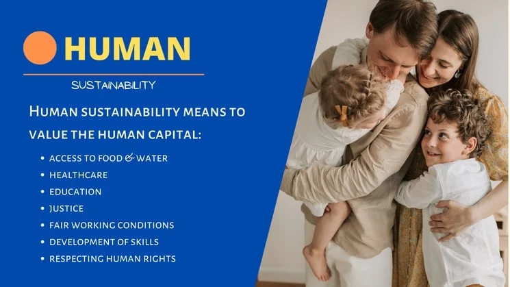 The 4 Pillars Of Sustainability EXPLAINED 3 Human sustainability pillar