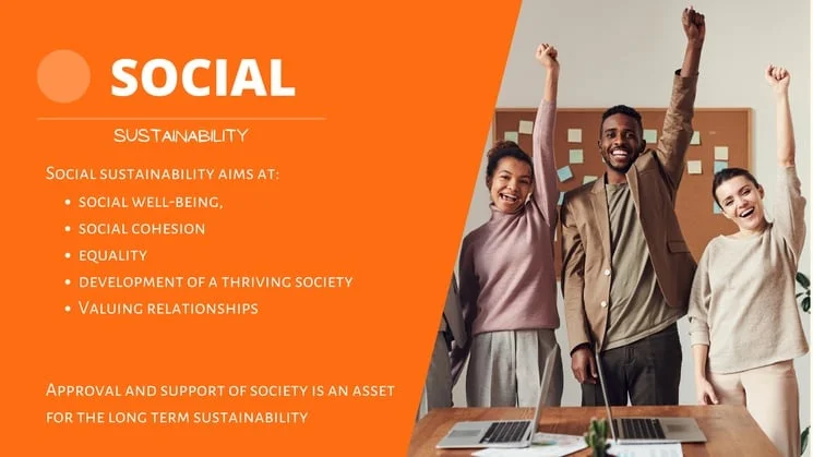 The 4 Pillars Of Sustainability EXPLAINED 5 Social sustainability pillar