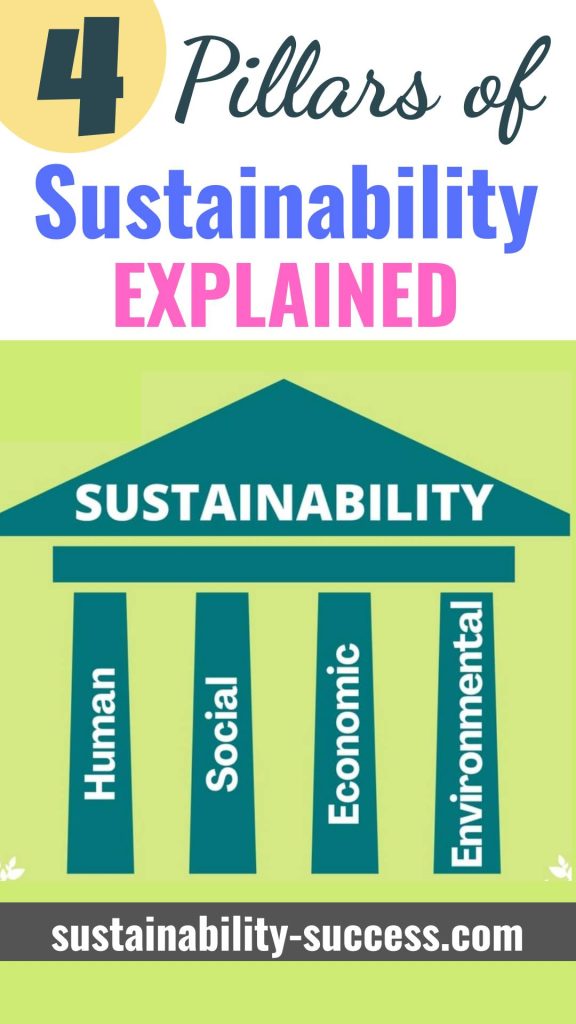 The 4 Pillars Of Sustainability EXPLAINED