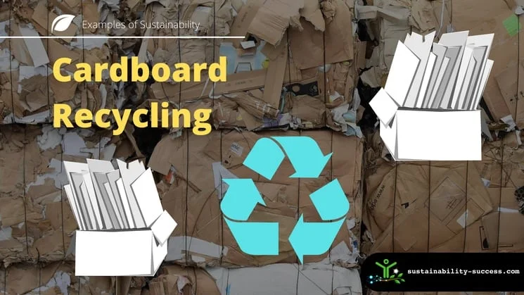Cardboard Recycling