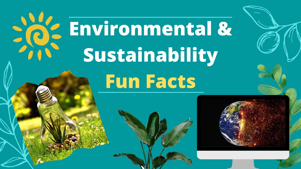 Environmental and sustainability fun facts