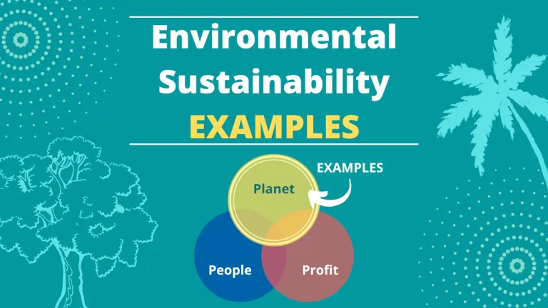 7 Environmental Sustainability Examples 1 Environmental Sustainability Examples