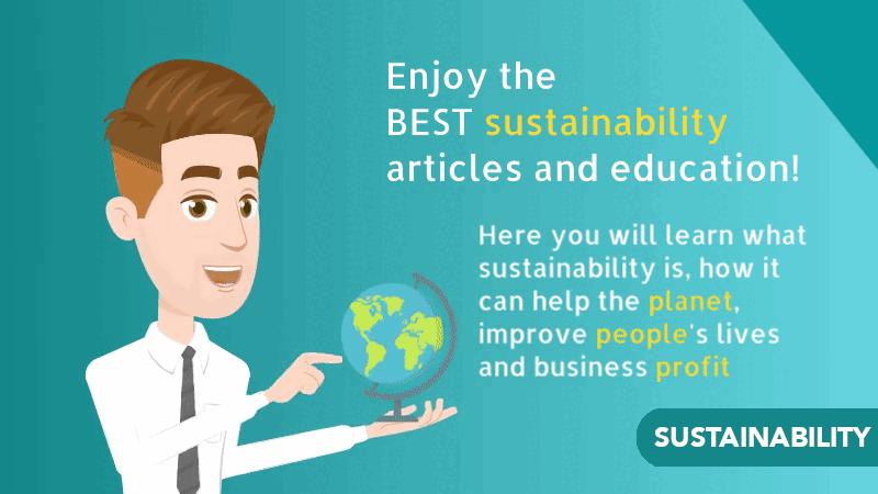 Sustainability articles
