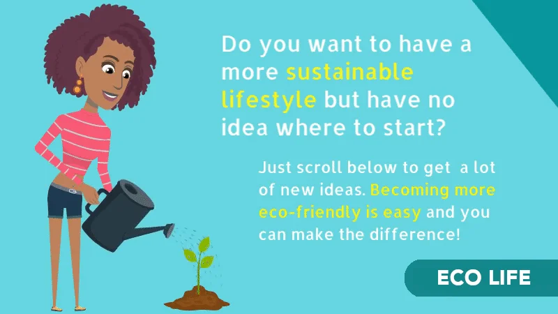 Sustainable Lifestyle articles