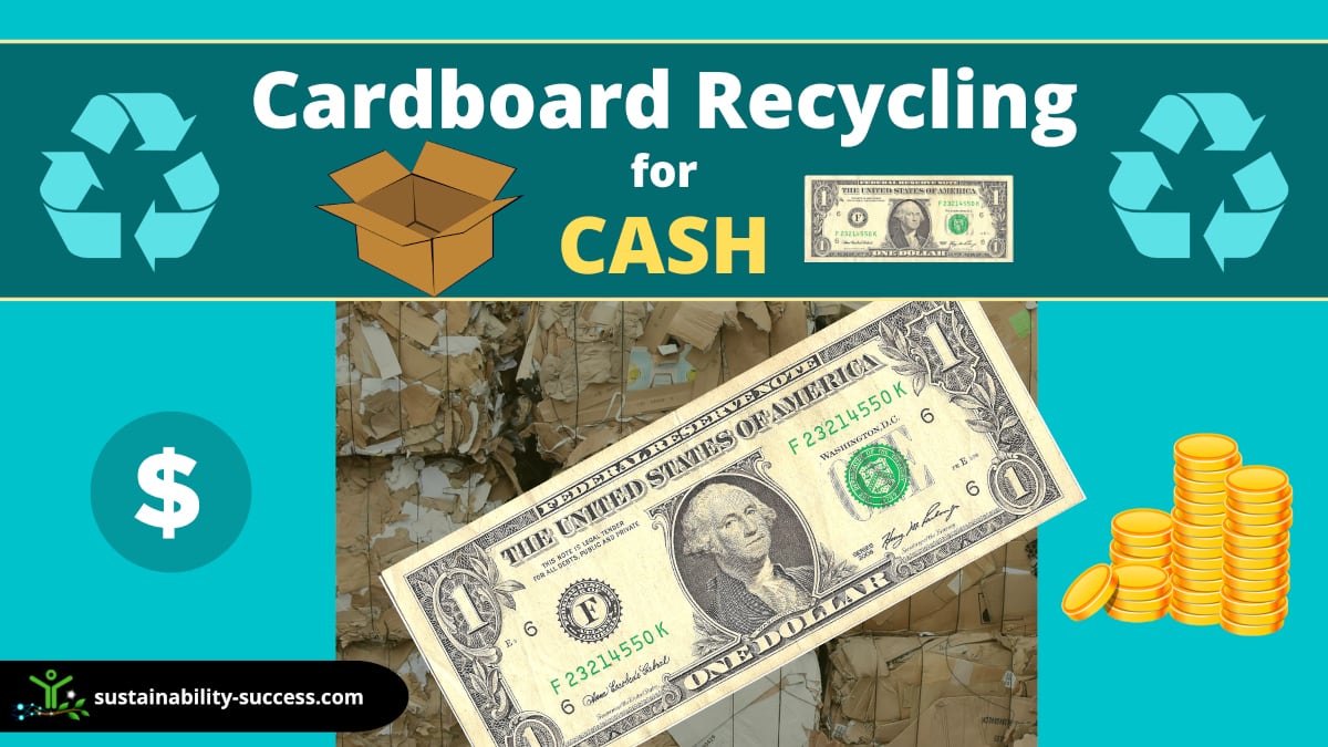 cardboard recycling for cash
