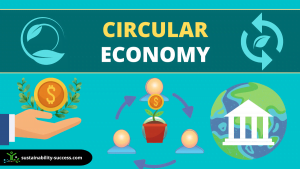 Circular Economy EXPLAINED 1 circular economy