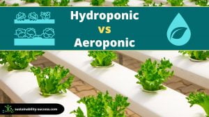 Hydroponic VS Aeroponic: What's the DIFFERENCE? 1 hydroponic vs aeroponic