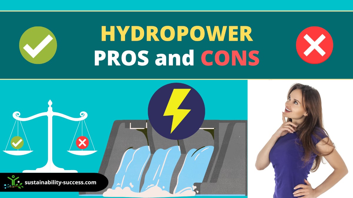 hydropower pros and cons