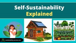 Self Sustainability EXPLAINED 1 Self sustainability