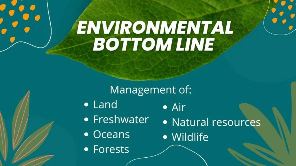 Environmental bottom line of sustainability
