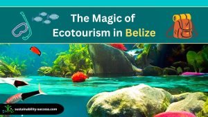 The Magic of Ecotourism in Belize (Unmissable Experiences!) 1 Ecotourism in Belize