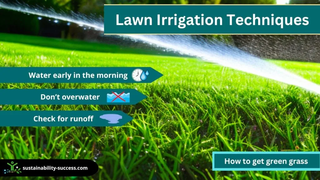How To Make Your Grass Greener in No Time! 5 how to get green grass - lawn irrigation techniques