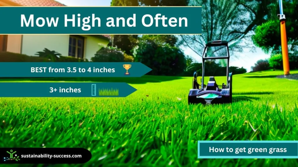 How To Make Your Grass Greener in No Time! 2 how to get green grass - mow high and often