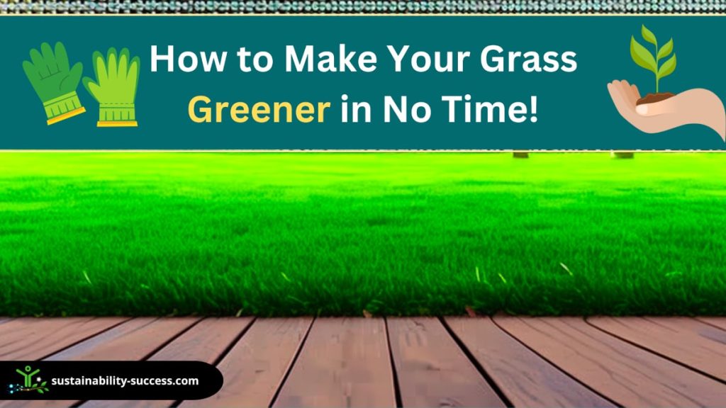 How To Make Your Grass Greener in No Time!