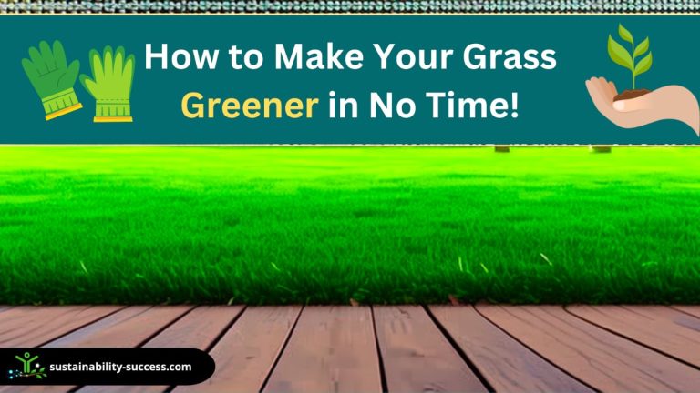 How To Make Your Grass Greener in No Time! 1 how to make your grass greener