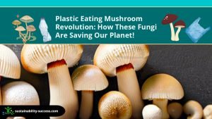 You've Seen The Plastic Eating Mushrooms? If not, Read HERE! 1 plastic eating mushroom