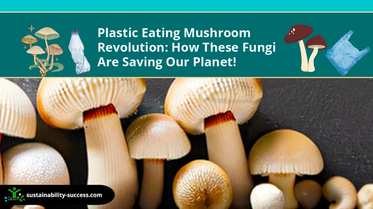 plastic eating mushroom