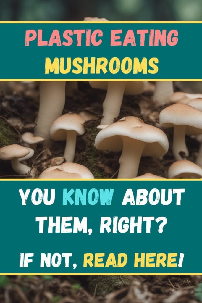 plastic eating mushrooms