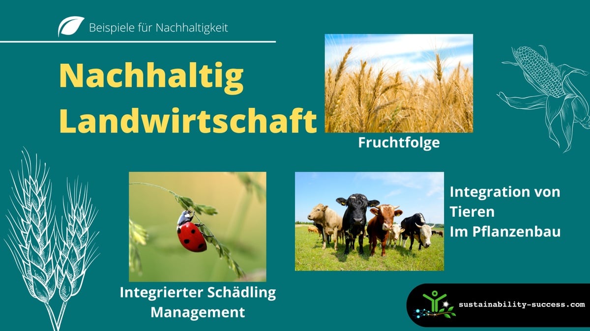 Nachhaltigkeit Landwirtschaftliche Ziele UNJQX Nachhaltigkeit Landwirtschaftliche Ziele UNJQX