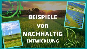 10 GROSSartige Beispiele für nachhaltige Entwicklung 1 BEISPIELE von NACHHALTIG ENTWICKLUNG