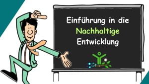 Einführung in die nachhaltige Entwicklung