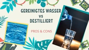 Gereinigtes und destilliertes Wasser - Pro & Kontra Vergleich 1 GEREINIGTES WASSER vs DESTILLIERT