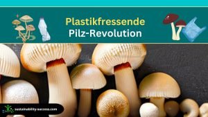 Plastikfressende Pilz-Revolution: Wie diese Pilze unseren Planeten retten! 1 Plastikfressende Pilz-Revolution