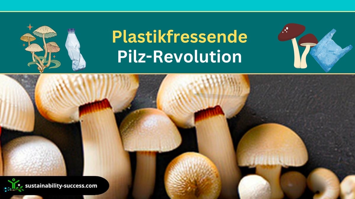 Plastikfressende Pilz-Revolution