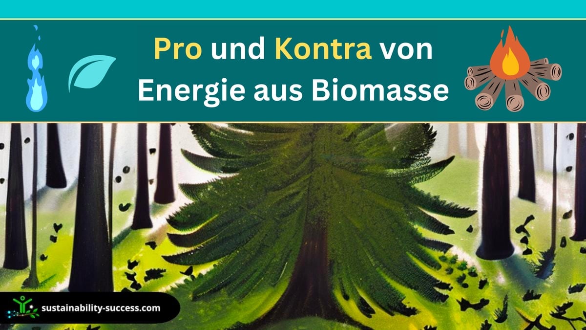 Pro und Kontra von Energie aus Biomasse
