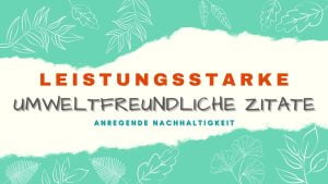 225 umweltfreundliche ZITATE zur Nachhaltigkeit (inspirierend & kraftvoll) 1 Umweltfreundliche Zitate