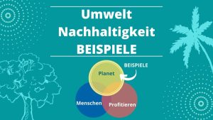 7 Beispiele für ökologische Nachhaltigkeit 1 Umweltverträglichkeit BEISPIELE